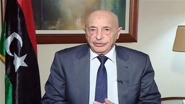 المستشار عقيلة صالح