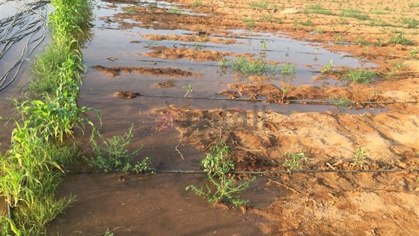 أراضي أسوان