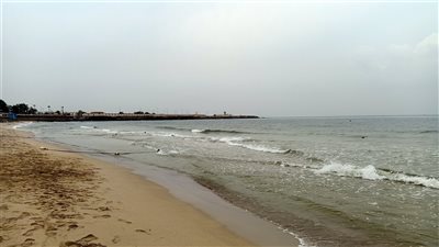 تبدأ الخامسة مساء.. تعرف على مواعيد تساقط الأمطار في أحياء الإسكندرية اليوم 