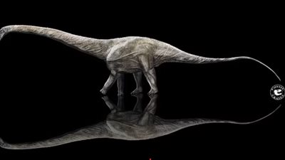 اكتشاف أطول ديناصور على الأرض قبل 150 مليون عام | صور