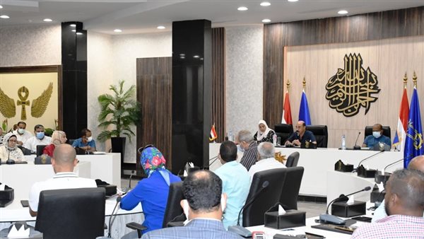 محافظ أسوان