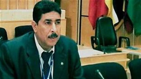 إبراهيم هيكل 