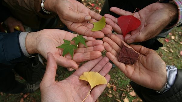 اليوم العالمي للتسامح
