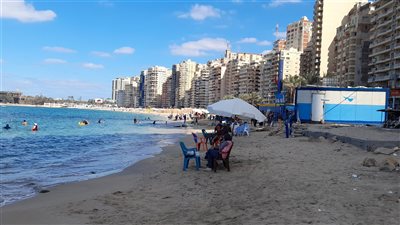 طائر النورس دليلها.. المكنسة أول نوة شتوية شديدة من أصل 14 نوة في الإسكندرية 