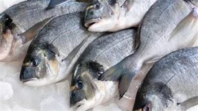 تعرف على أسعار الأسماك اليوم الأحد 9 يناير 2022 بالأسواق