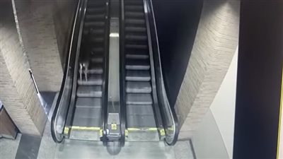 غزال يقتحم مستشفى بالولايات المتحدة ويتجول في الطرقات | فيديو 