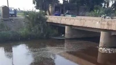 بث مباشر| أهالي قرية ريدة بالمنيا يستغيثون بالمسؤولين: المصنع بيصرف في الترعة والريحة خنقتنا