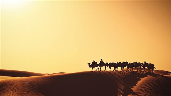 صورة تعبيرية