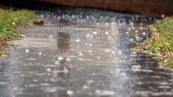 الأمطار الثلجية