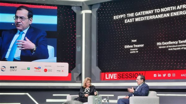 وزير البترول والثروة