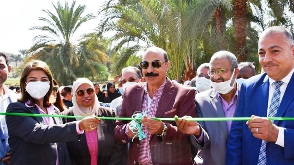 محافظ أسوان