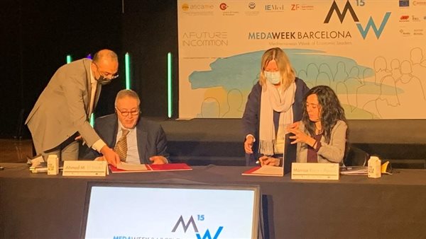 أحمد الوكيل خلال