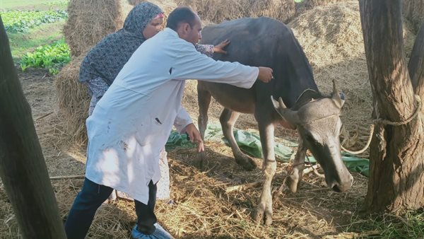 مكافحة الحمى القلاعية