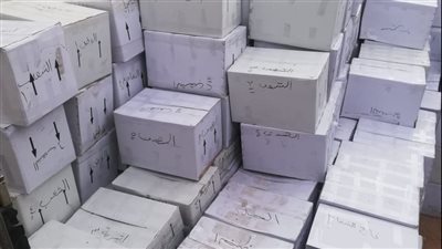 ضبط صيدلية تبيع أدوية مهربة وضارة بالصحة في القليوبية