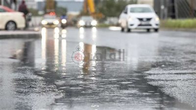 الزراعة: شبكة منفصلة للدلتا الجديدة للاستفادة من مياه الأمطار