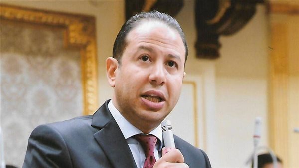 النائب حسن عمار 