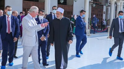 الإمام الأكبر: وثيقة الأخوة الإنسانية ثمرة انفتاح الأزهر على مختلف الديانات