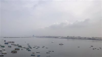 نشاط في حركة الملاحة البحرية بـ الإسكندرية بسبب الطقس المستقر