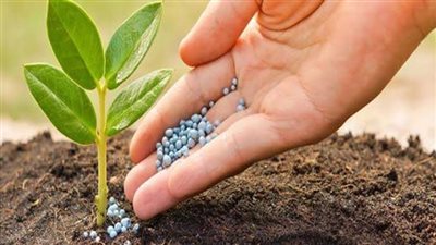 زيادة متوقعة في أسعار الأسمدة.. مطالب بإلغاء دعم أصحاب الحيازات فوق 25 فدانا