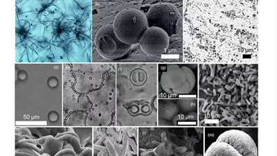ناسا تكتشف علامات لوجود حياة متحجرة على المريخ | صور