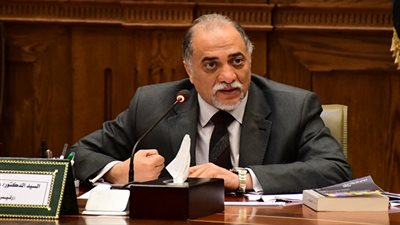 الطرق الصوفية: نرفض تصفية القضية الفلسطينية بدعوات التهجير.. ونقف خلف القيادة السياسية الحكيمة