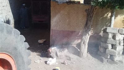 إزالة 31 حالة تعدٍ على أراضي الدولة بمركز ملوي بالمنيا