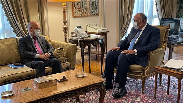 شكري ووزير خارجية