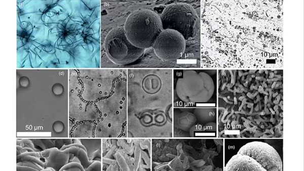 حياة متحرجة على المريخ