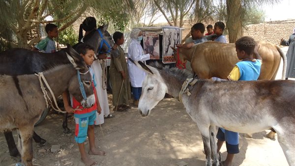 مستشفى بروك البيطري