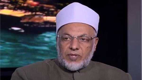 الدكتور سعيد عامر