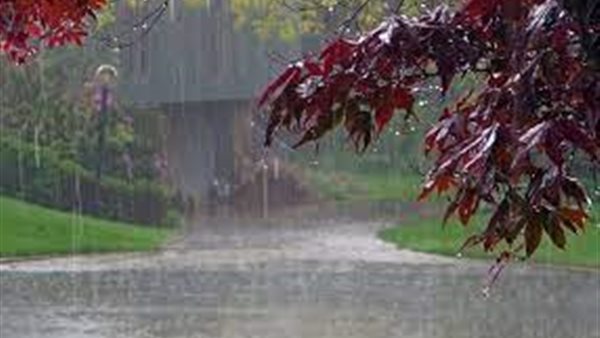 الدعاء عند نزول المطر