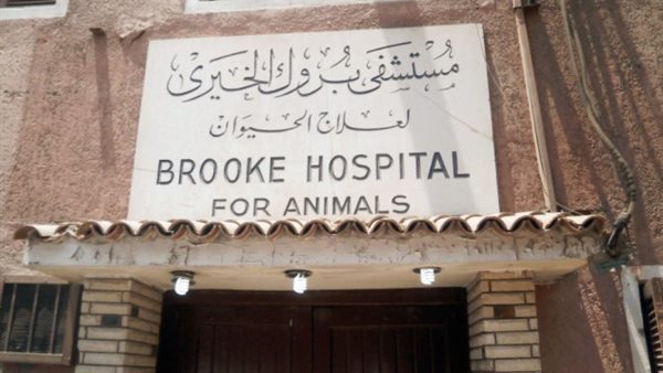 مستشفى بروك