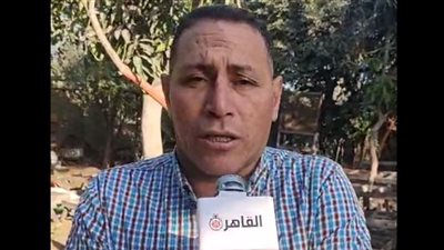 صاحب منحل عسل بالغربية: ارتفاع أسعار السكر تُمثل عبئًا كبيرًا على النحالين | بث مباشر