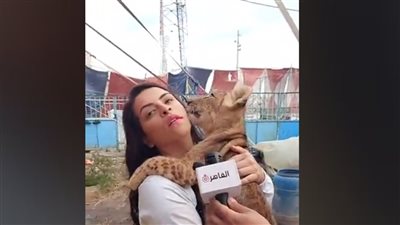 تحتضن وتقبل الأسود.. أوسه الحلو قضت حياتها بين الحيوانات المفترسة: بيحبوني وبيخافوا مني | صور وفيديو