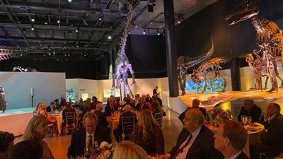 الأعلى للآثار: بيع 8 آلاف تذكرة خلال الساعات القليلة من افتتاح معرض رمسيس وذهب الفراعنة | صور