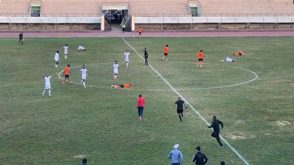 كفر الشيخ والمنصورة