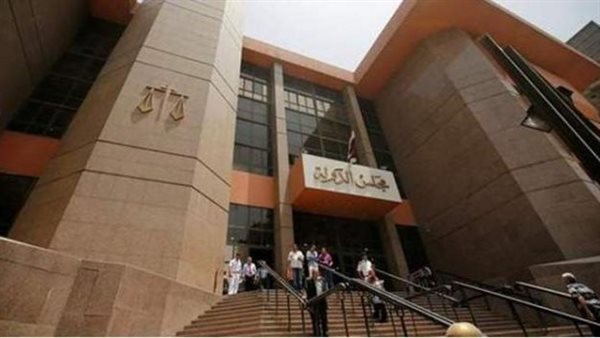  مجلس الدولة - أرشيفية