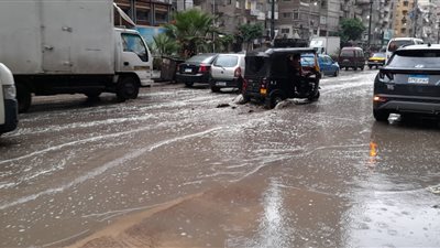 أمطار غزيرة في الغربية.. والمحافظ يناشد المواطنين بالابتعاد عن أعمدة الإنارة 