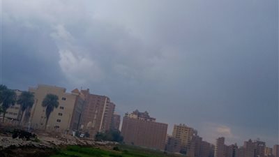 هطول أمطار غزيرة على الطريق الزراعي ببنها │ فيديو