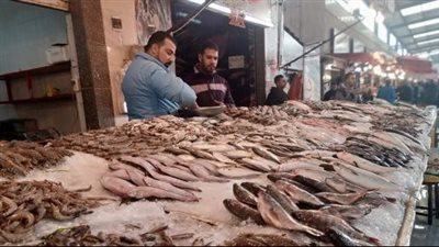 بث مباشر| البلطي بـ25 جنيهًا والجمبري بـ120.. تعرف على أسعار الأسماك اليوم في الأسواق