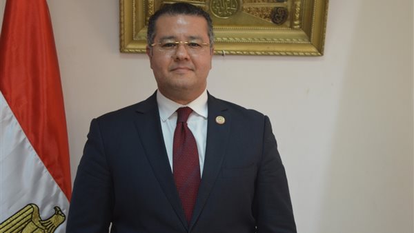 الدكتور عمرو الدخاخنى