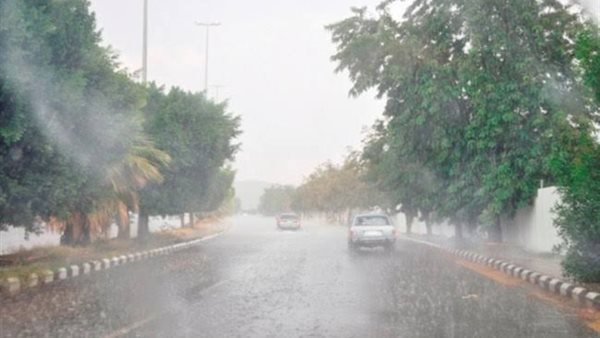 هطول أمطار - أرشيفية