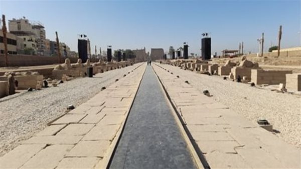 طريق الكباش 