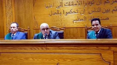 المؤبد لمتهم والمشدد 5 سنوات لـ 3 آخرين في قضية الخلايا العنقودية