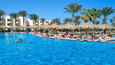 ارتفاع نسب الإشغال السياحي بالغردقة لتجاوز 80%| صور وفيديو