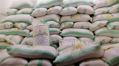 الزراعة: بحوث الصحراء يواصل دعم مزارعي وسط سيناء