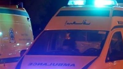 عامل يطعن زميله بمطواة خلال مشاجرة بينهما في شبين القناطر 