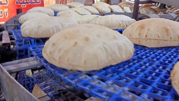 جانب من الحملة 