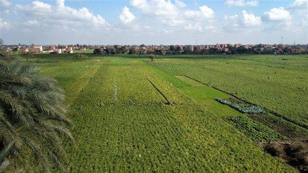 حالة الطقس- أرشيفية