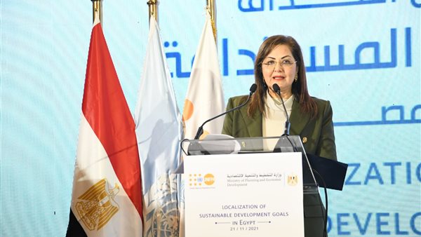 وزير التخطيط